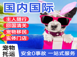 淮安航空运输国际宠物托运 【国